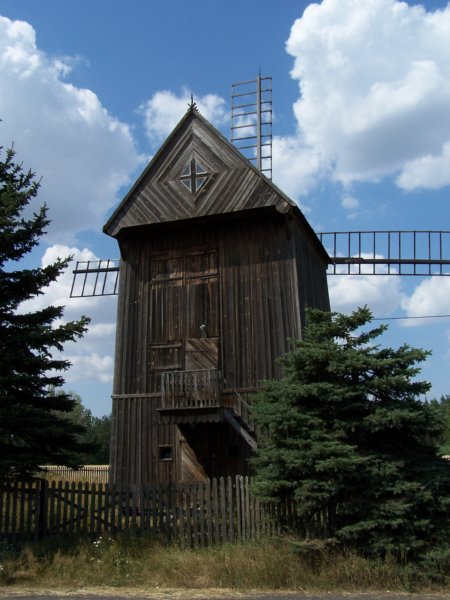 czona11.jpg