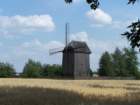 czona13_small.jpg