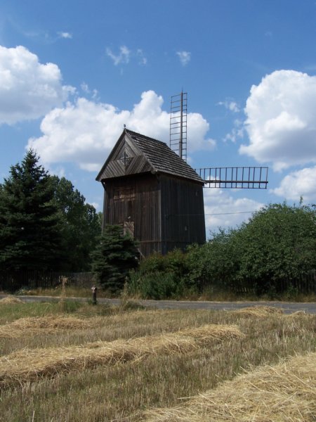 czona3.jpg