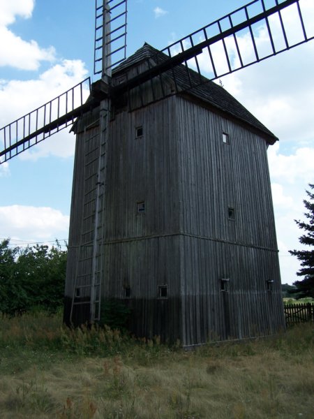 czona9.jpg