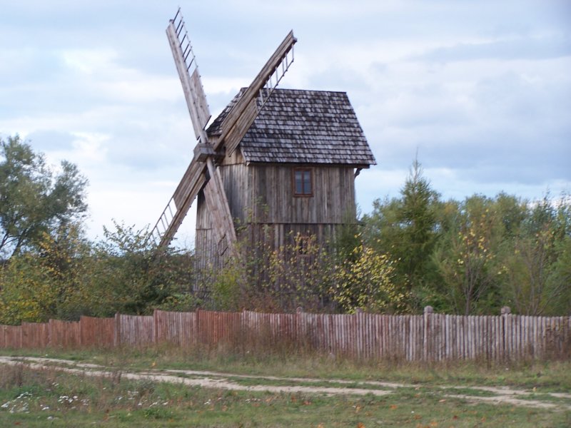 krasienin.jpg