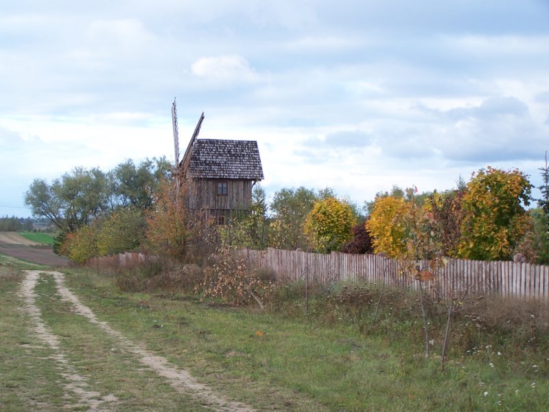 krasienin2.jpg