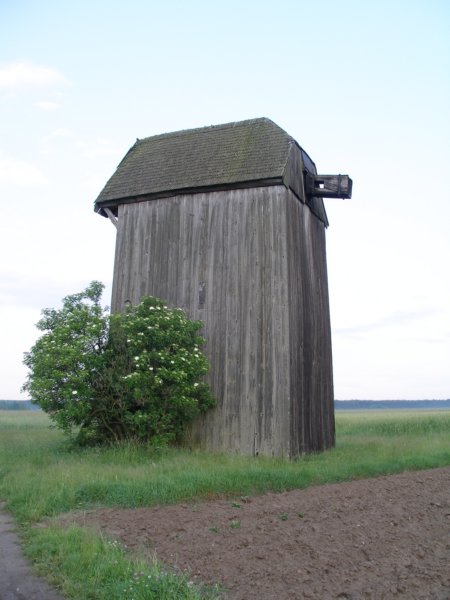wyryki9.jpg